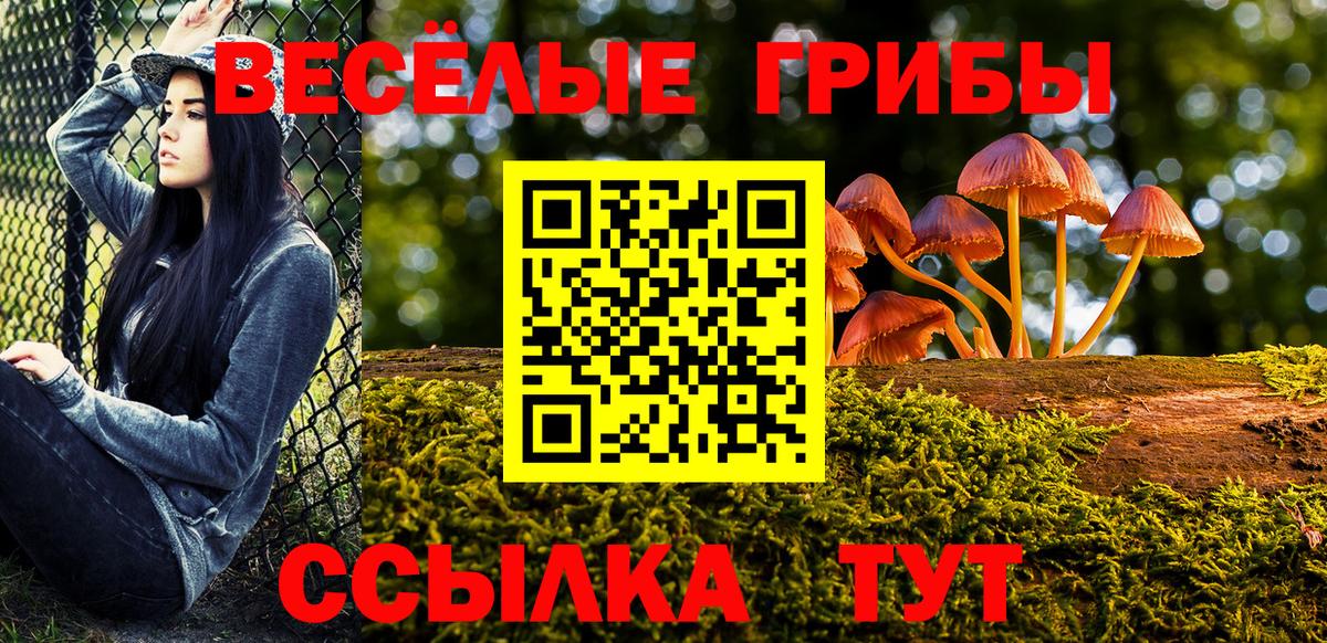 где найти наркотики  Вход с VPN  Ртищево  Галлюциногенные грибы GOLDEN TEACHER 